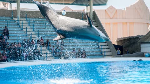 Top things to do in miami ✨️