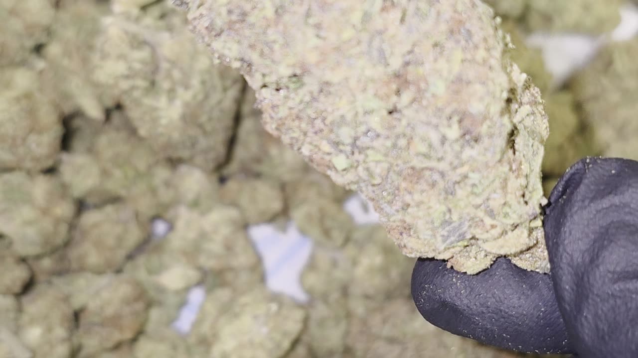 Grape Cake THC Flower