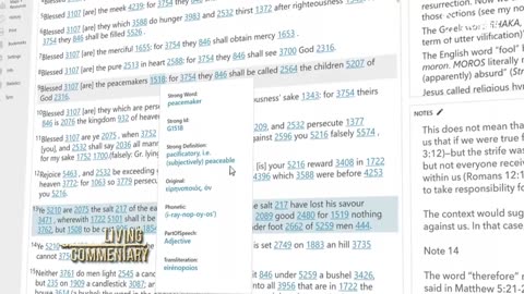 Pioneer Channel LIVE