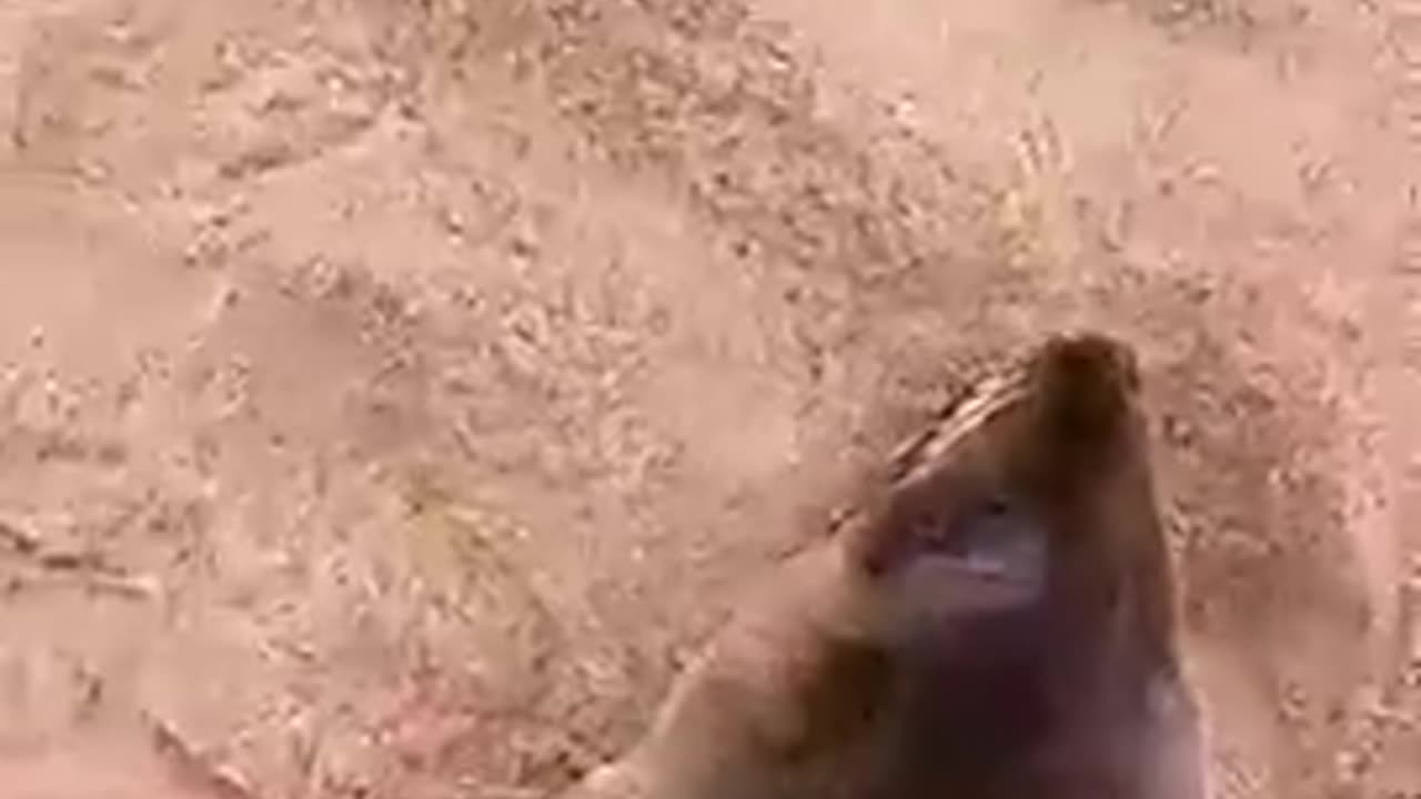 Stewards of the earth