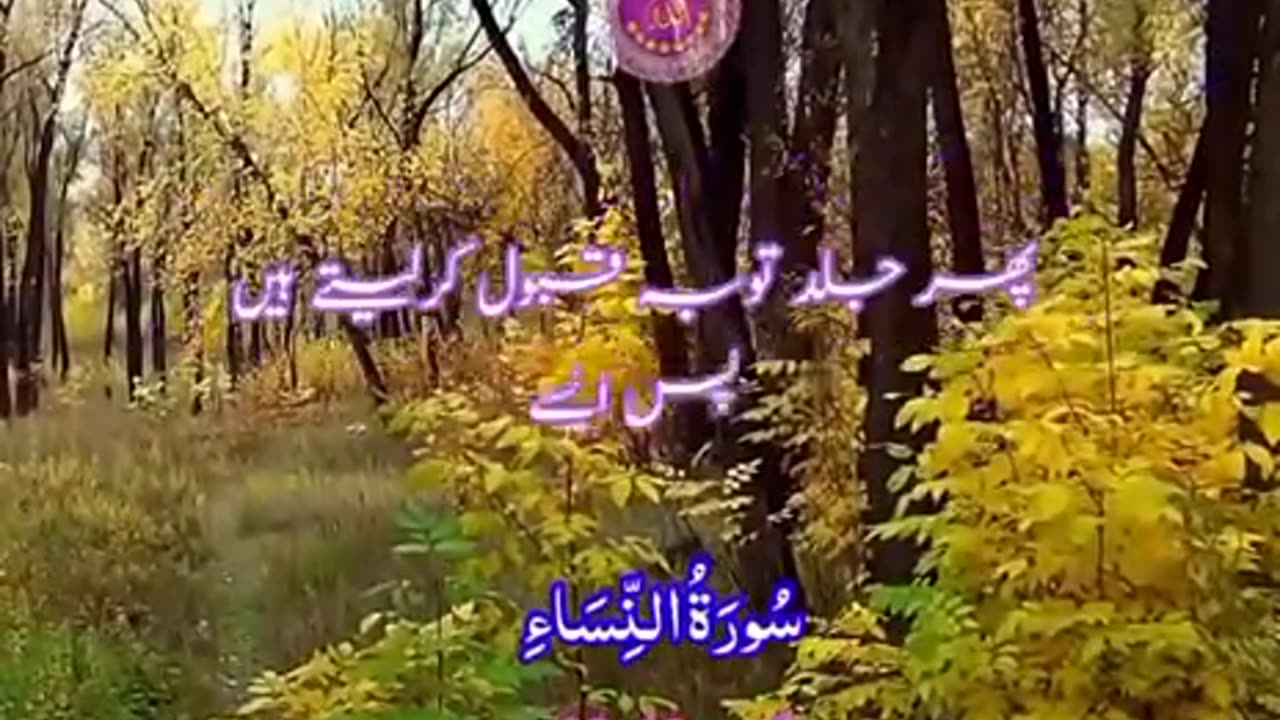 Beshak 💯😭😭😭🙏🙏🙏