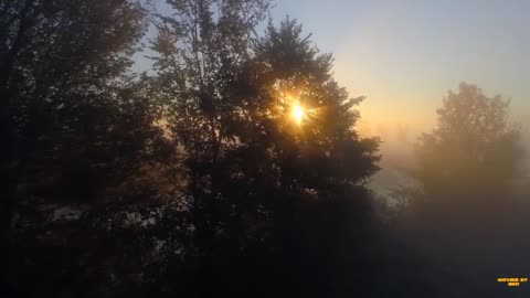 Secrets in the Woods 2020