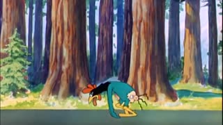 Saturday Morning Cartoons