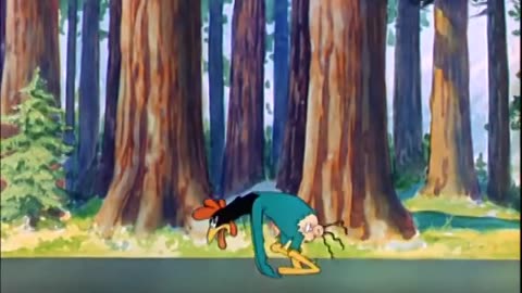 Saturday Morning Cartoons