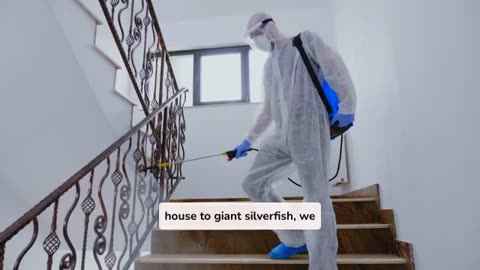 Protect Your Home: Expert Pest Management in Southern Norway