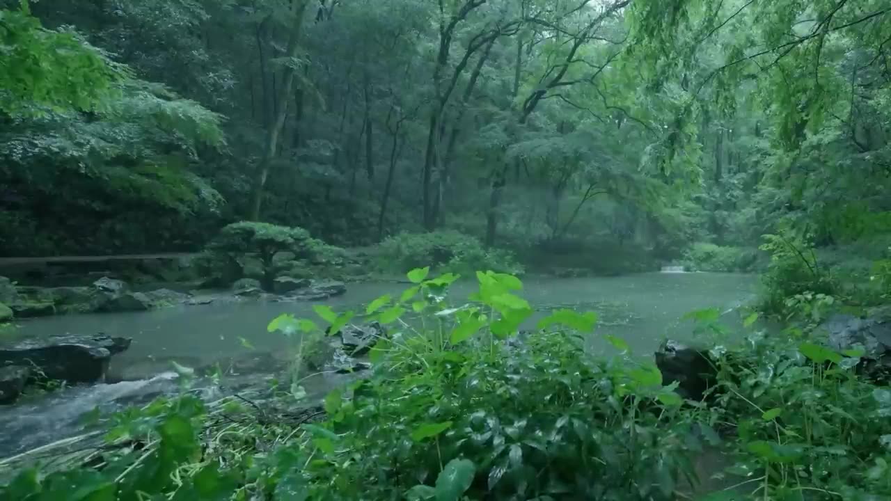 The streams and rain in the valley