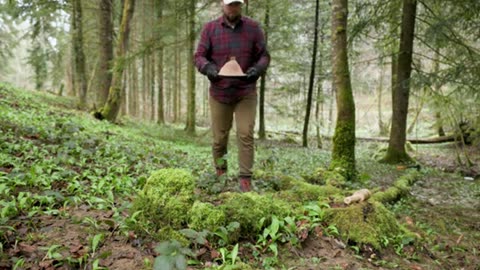 Can This Be the Best Bone-In Steak- Outdoor Cooking Adventure
