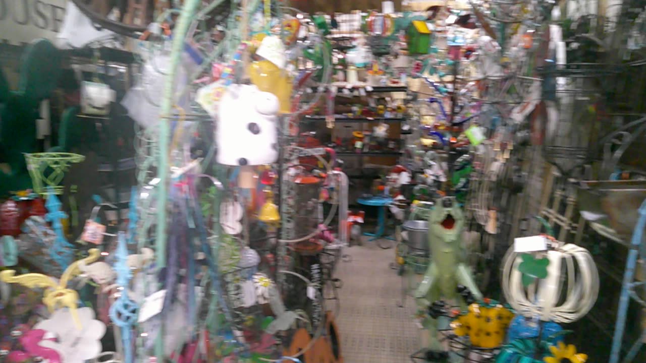 Sarah's favorite store