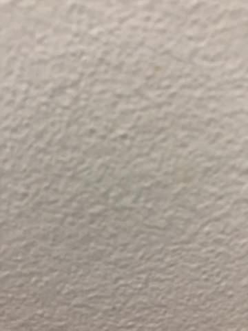 Epstein Island Bombshell