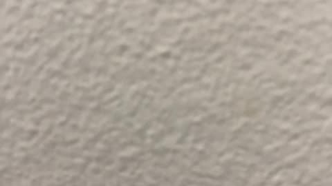 Epstein Island Bombshell