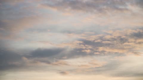 "The journey of a thousand miles begins with a single step."