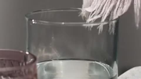 Daily Horoscope | Virgo 🌟