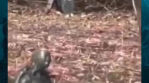 😱👻 Mysterious Figure Spotted in the Dark! | TheHauntingHour