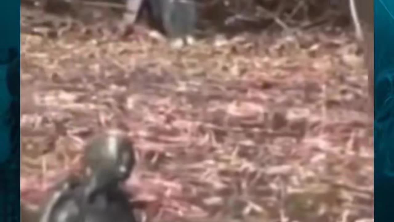 😱👻 Mysterious Figure Spotted in the Dark! | TheHauntingHour