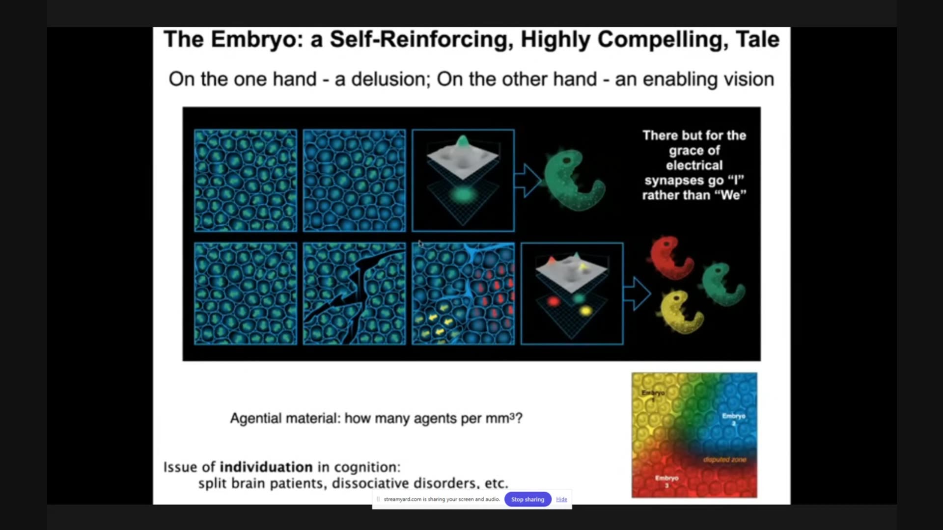 Tri Test By Sabrina Wallace - Psinergy