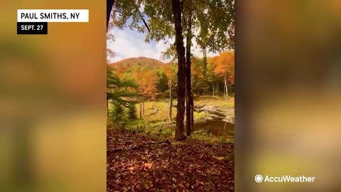 2025 U.S. Wildfire Forecast Update: Watching California, East U.S.