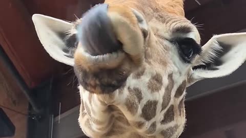 Wet weather got you down? 🤣This might help