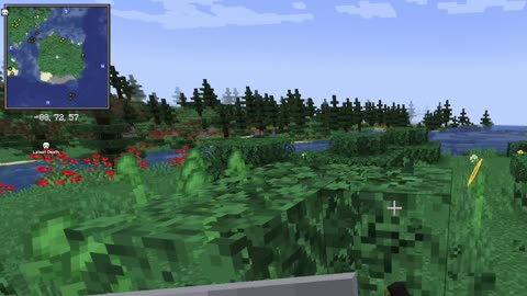 Minecraft- Shiny Distractions