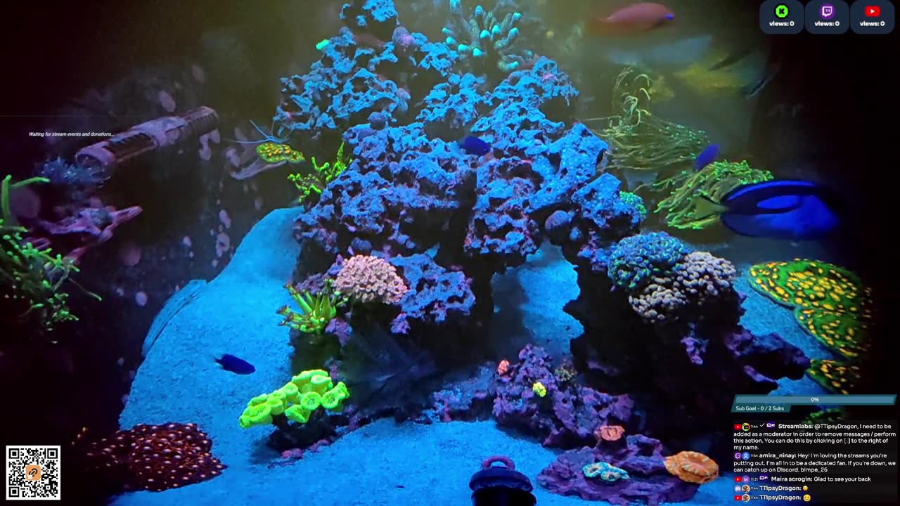 24/7 Real Live Reef Stream