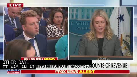 Karoline Leavitt Defends Trump’s Now-Deleted Post About Magic Cure-All ‘Med Beds’‘Quite Refreshing!