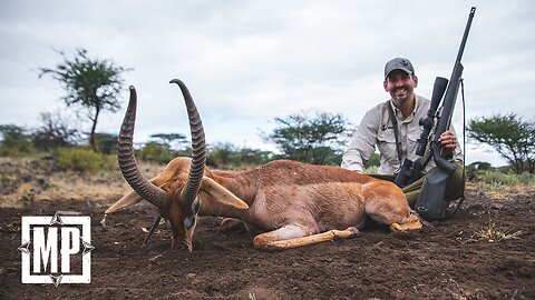 Gerenuk and East African Impala - Tanzania | Mark V. Peterson Hunting