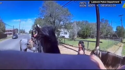 “Narcotic-smelling horse” helps Texas police nab fleeing suspect in viral chase #truecrime #japd