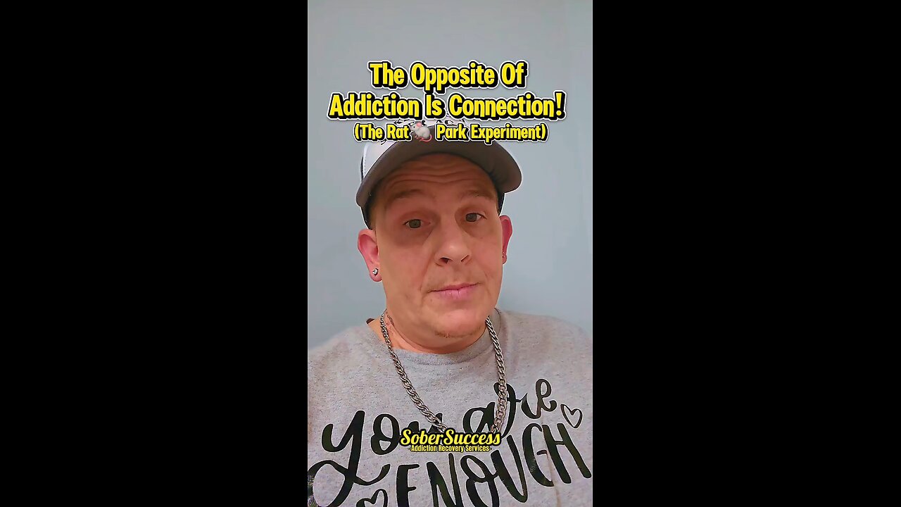 The Opposite Of Addiction Is Connection- The "Rat🐀Park" #RatPark #AddictionRecovery #OpiodEpidemic