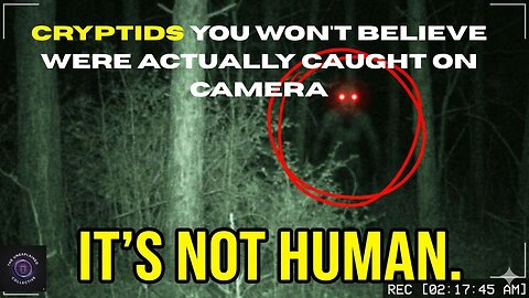 Cryptids You Won't Believe Were Actually Caught on Camera.