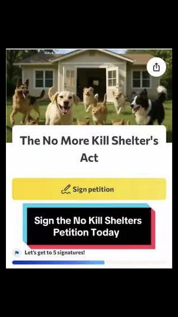 No More Kill Shelters Act Petition