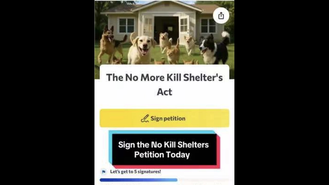 No More Kill Shelters Act Petition