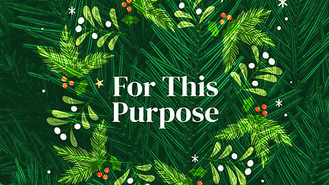 Nothing to Fear 💪 ll NEXT ll Mat Riera