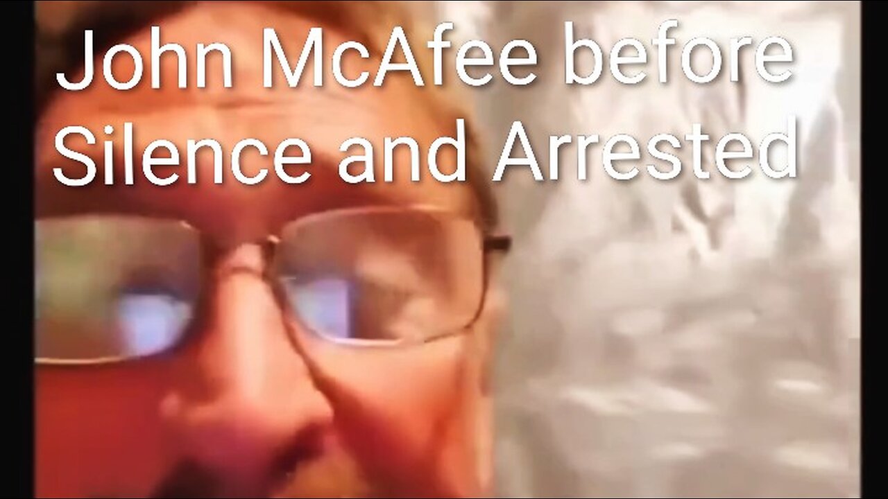 John McAfee before he was "silence and arrested in Spain"