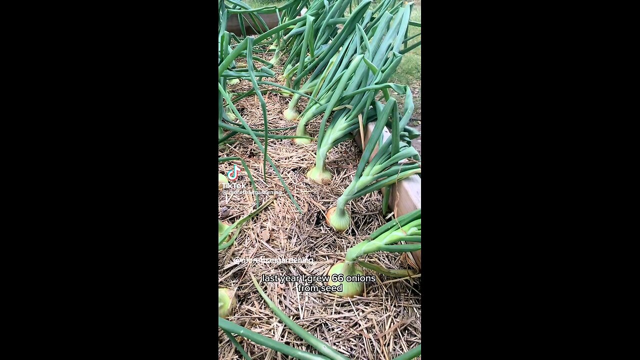 gardening tips