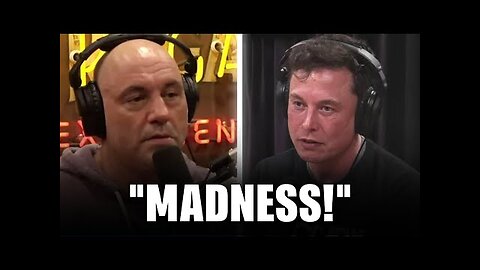 'SHEER MADNESS': Elon Musk tells Joe Rogan about DOGE findings