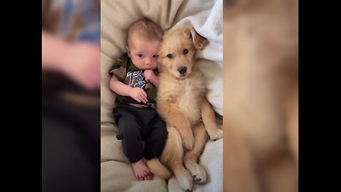 A Dog's Best Friend 🐾👶 Heartwarming, Funny, and Adorable Dog & Baby Moments"