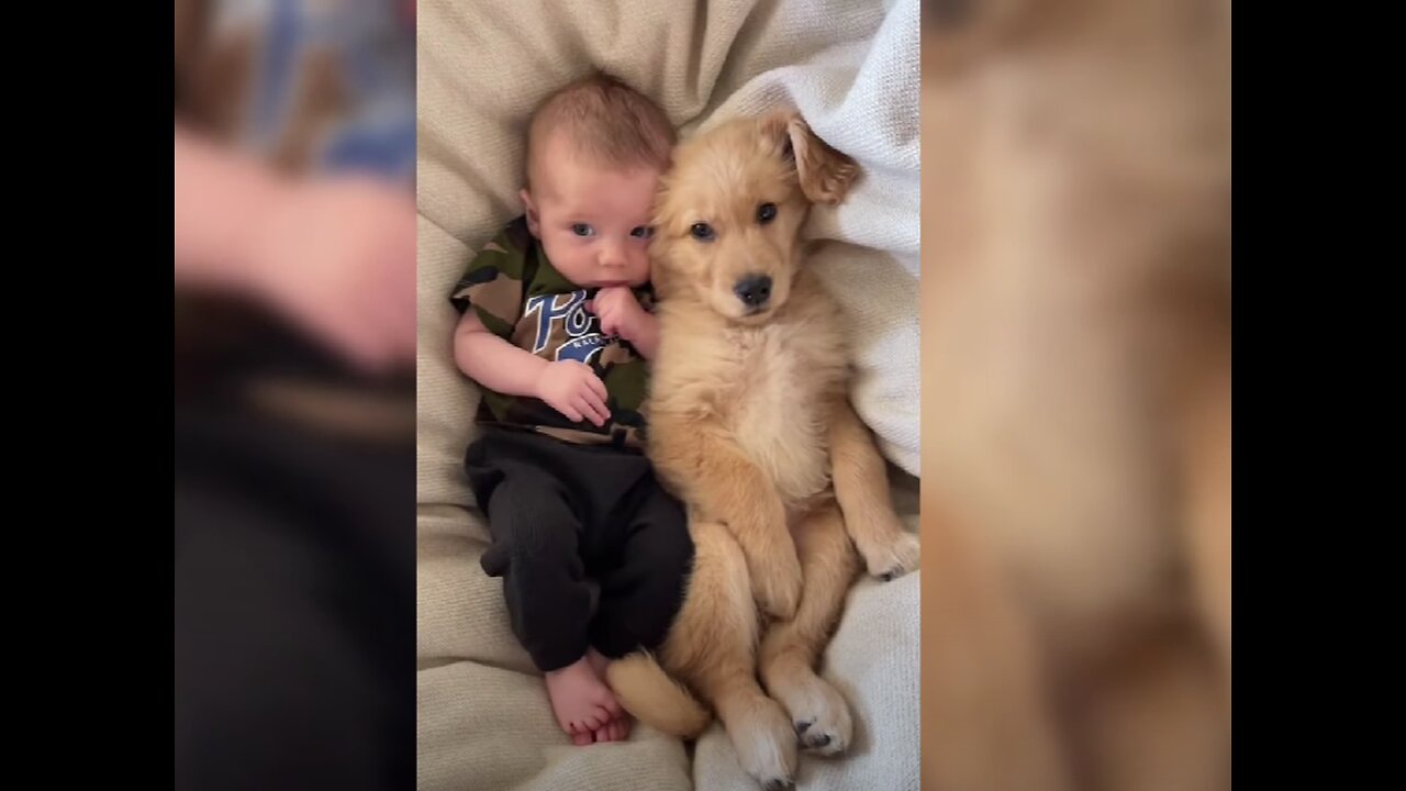 A Dog's Best Friend 🐾👶 Heartwarming, Funny, and Adorable Dog & Baby Moments"