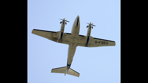 Winged flying Monkey services Air First nearly crashed into my house