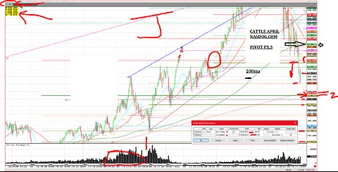 Cattle Thanksgiving Break continues, Hedges, specs liq.,