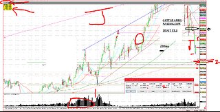 Cattle Thanksgiving Break continues, Hedges, specs liq.,