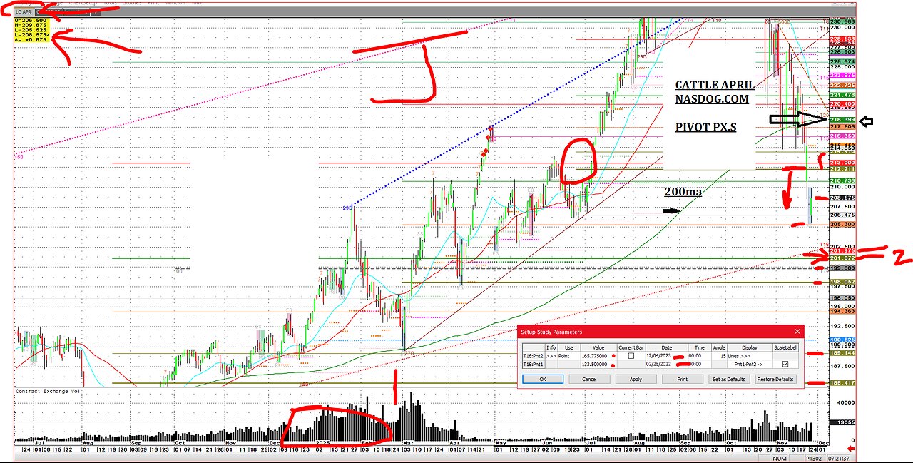Cattle Thanksgiving Break continues, Hedges, specs liq.,