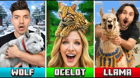 I Adopted Minecraft Pets In Real Life! 🦊🐢🦒 (Building Epic Habitats)
