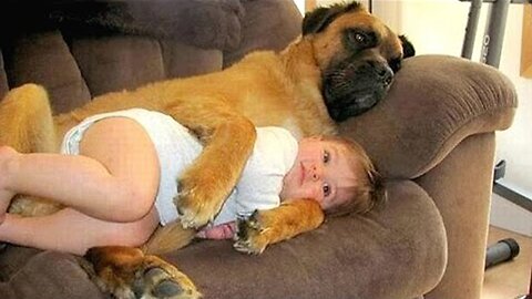 When Your Dog Claim Your Baby As Their Special Friend