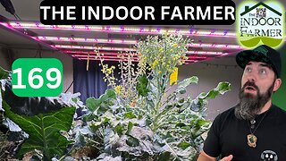 The Indoor Farmer ep 169, The Broccoli's Gone Wild! Everybody Has To Eat Let's Grow