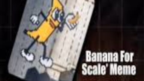 Banana For Scale (BNB: #BANANAS31) Soars 100%+ In Past Week: Is This Your Next Major Winner? - #BNB