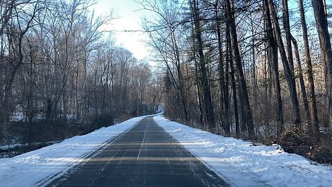 Driving through the snowy woods