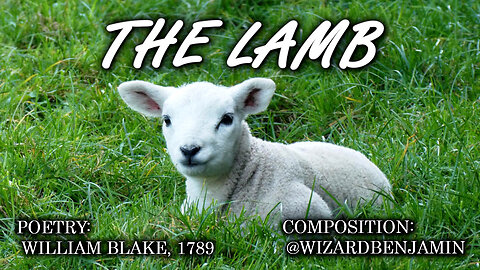 「AI RADIO」 "THE LAMB"