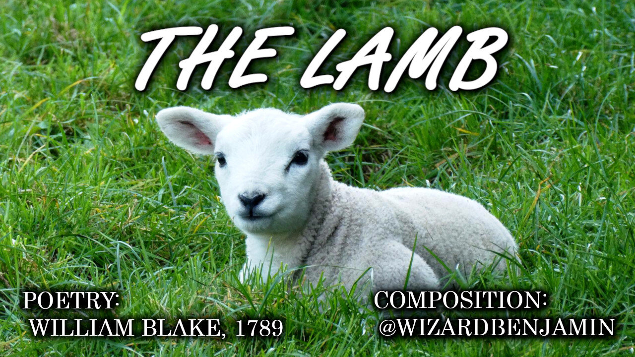 「AI RADIO」 "THE LAMB"