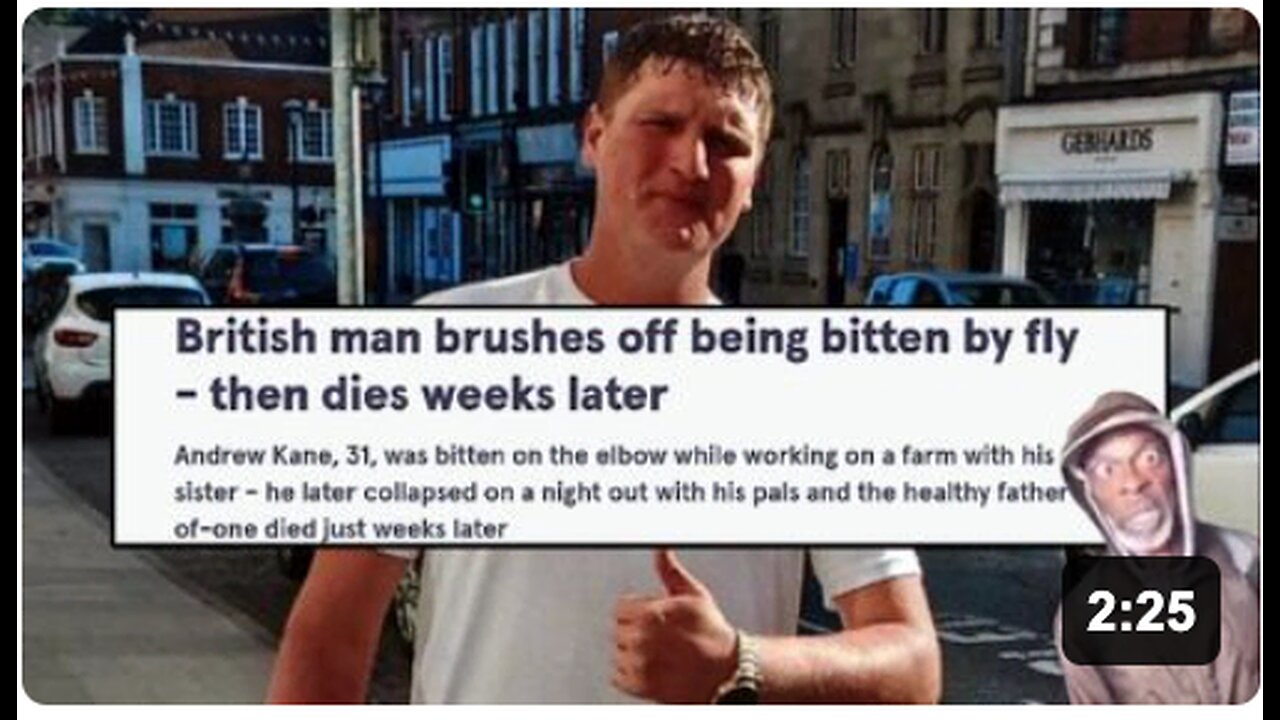 I've seen it all! Andrew Kane - Killed by a fly??? 🤯