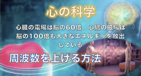 ⭐️ハート（心）がもつ直感的知性 - 個人、社会、世界との関係性・共生について⭐️