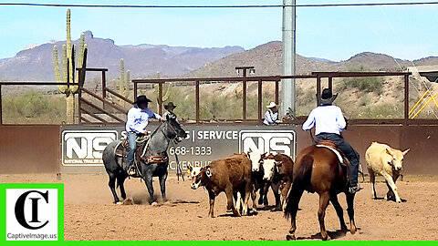 Team Sorting - 2025 Lowell Goemmer Memorial Ranch Rodeo